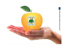 Персики и яблоки  Cuoreverde